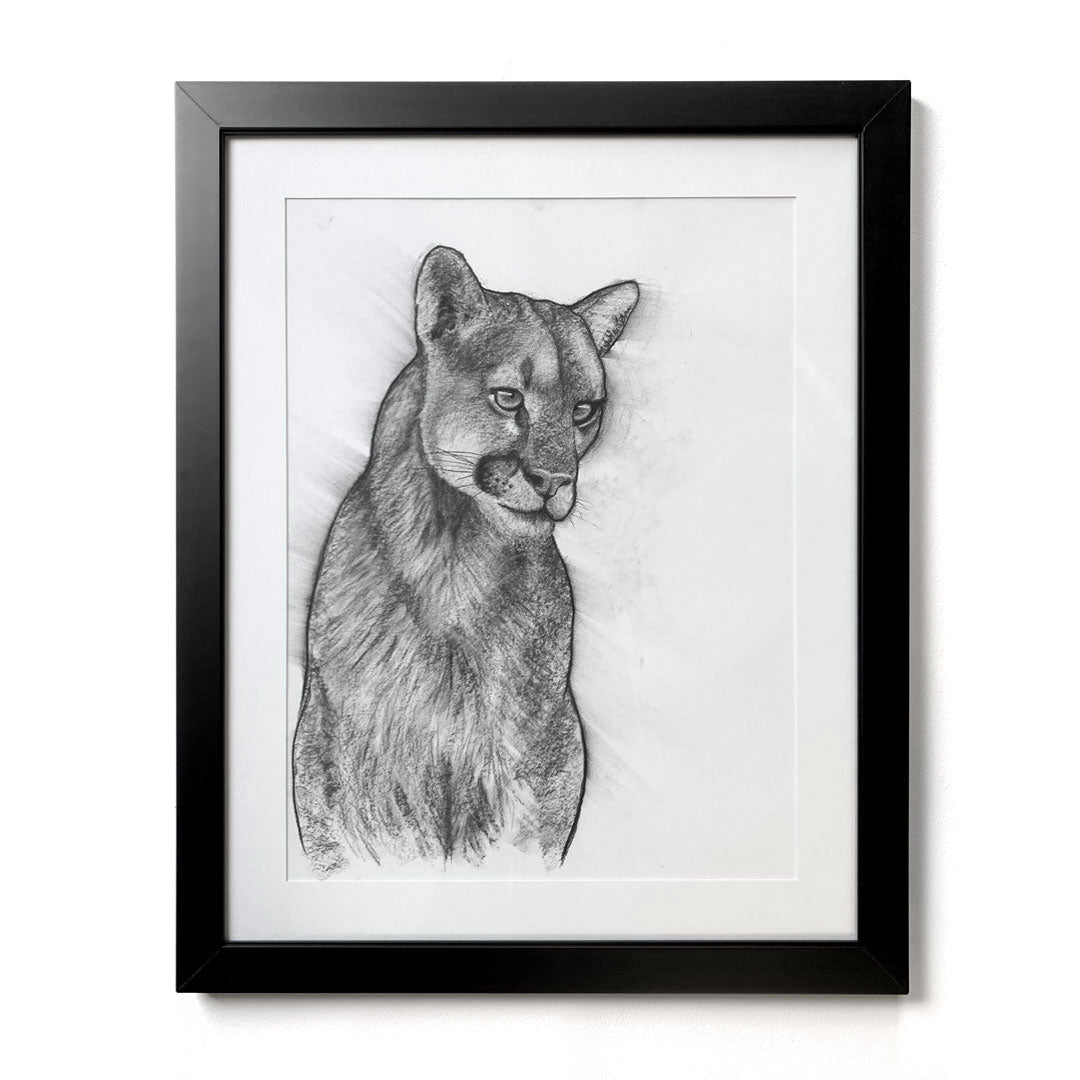 anna mullens add photo how to draw a cougar