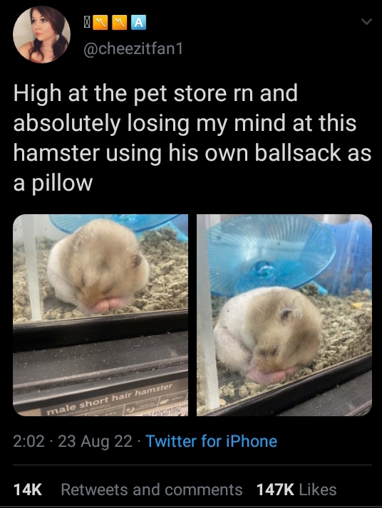 Best of Hung like a hamster