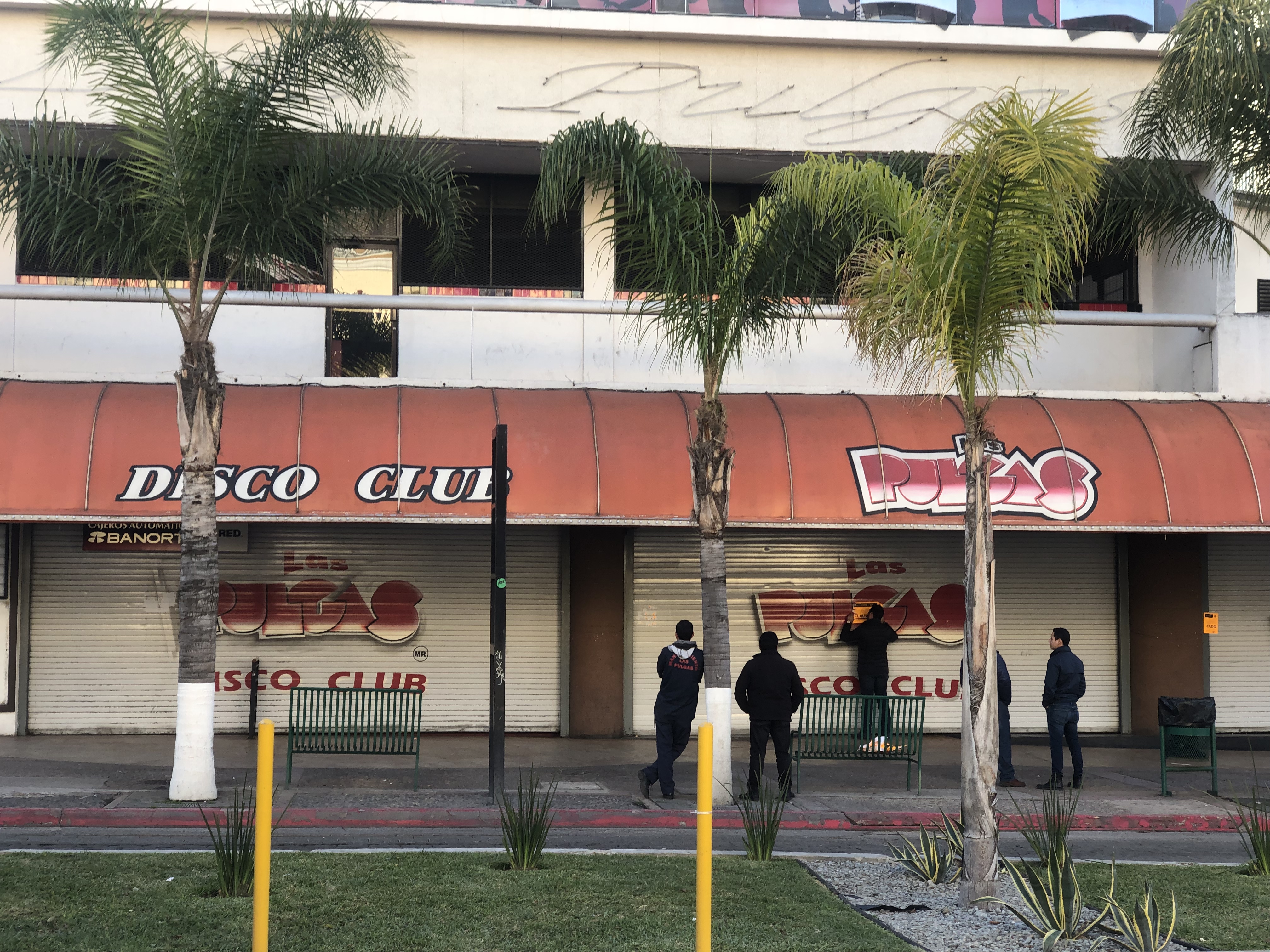 andreas brill recommends Las Pulgas Nightclub Tijuana