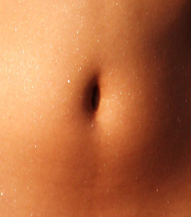 david c hughes recommends male belly button play pic