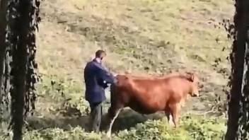 aaron schelling share man fuck cow photos