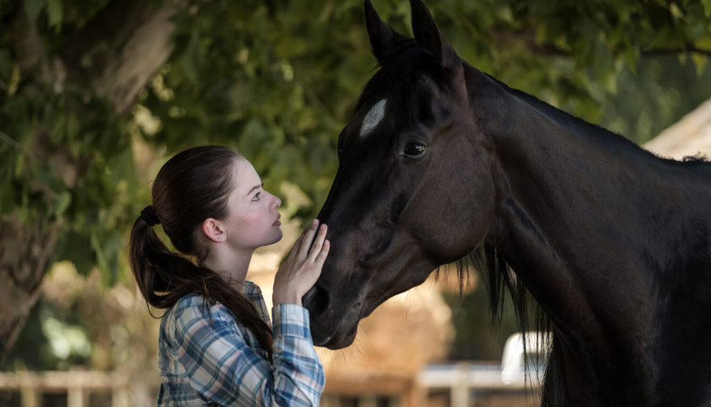 brian a anderson add mujeres haciendo el amor con caballos photo