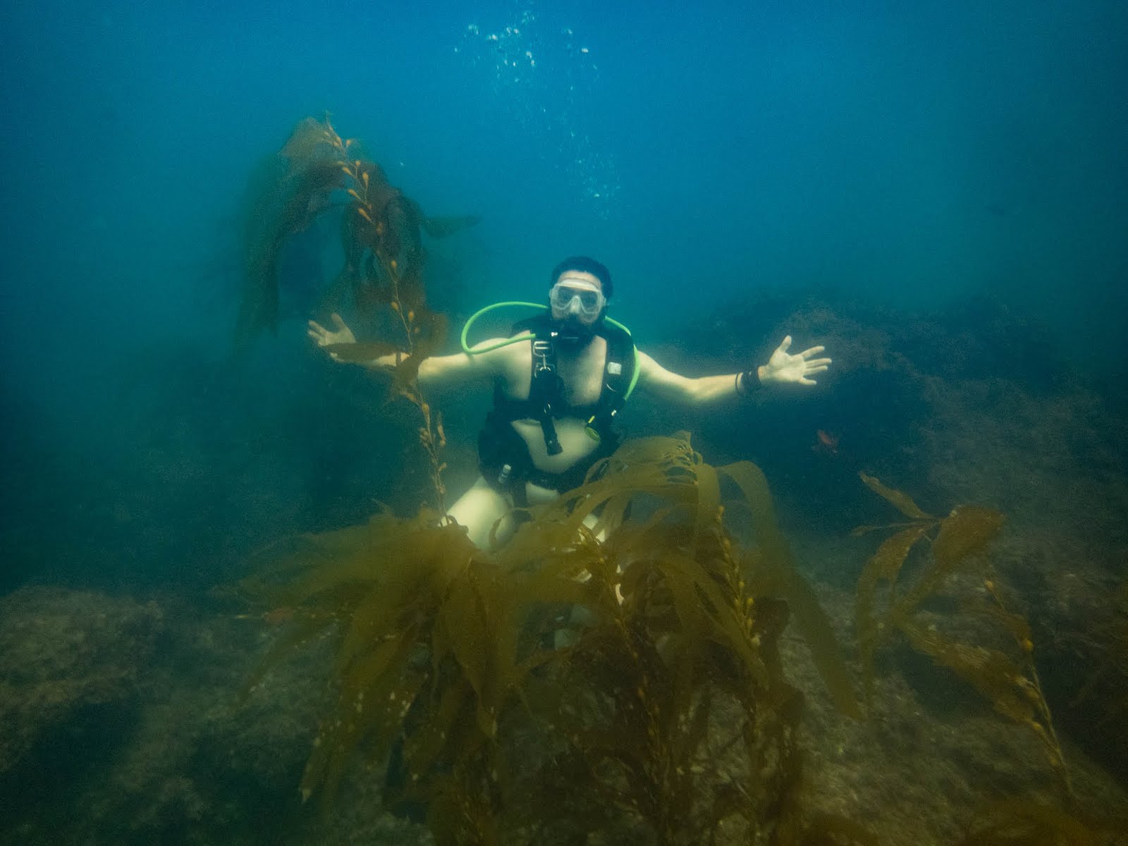 alexandra horne recommends Naked Scuba Diving