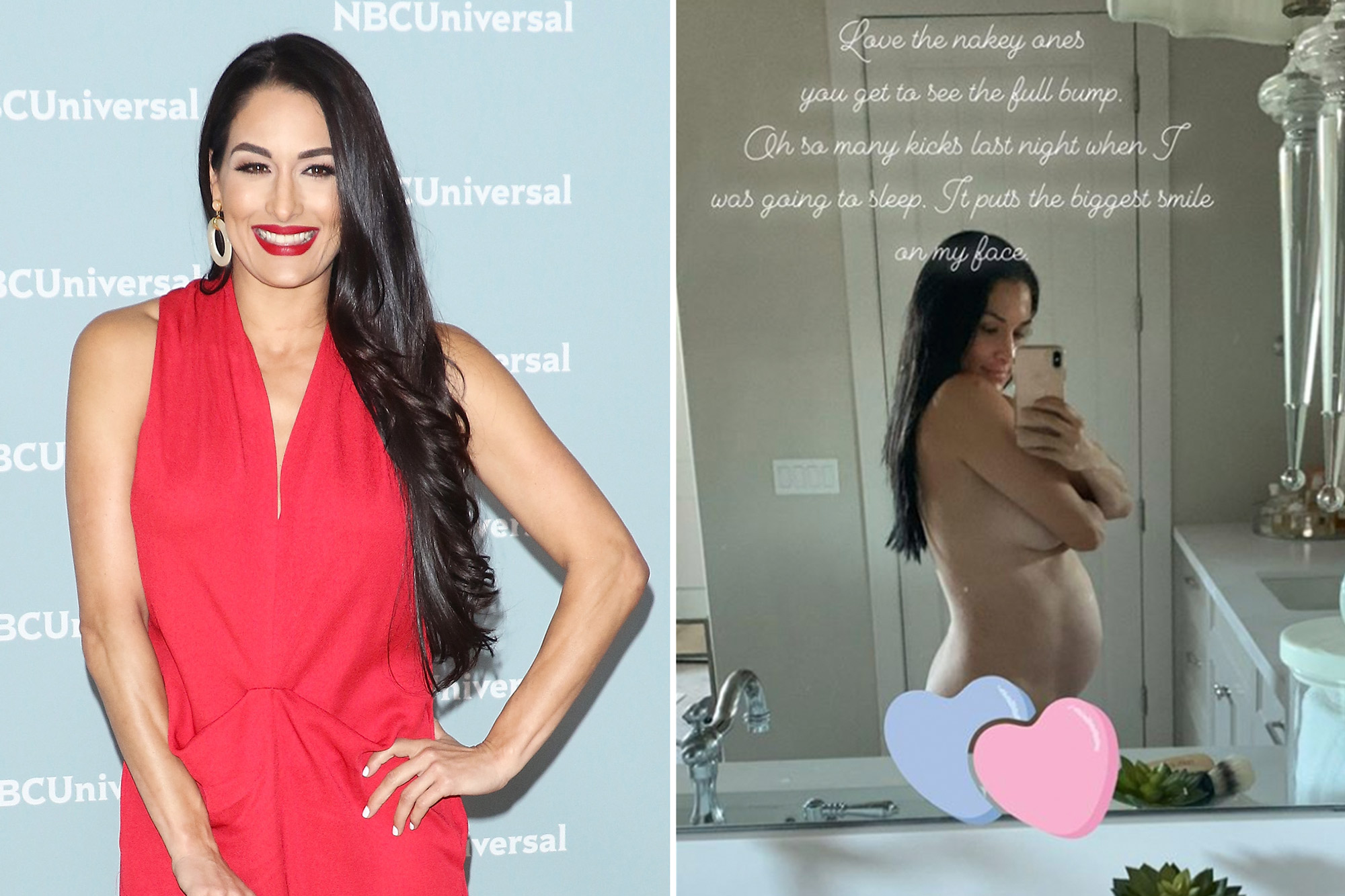 christi crocker recommends nikki bella topless pic