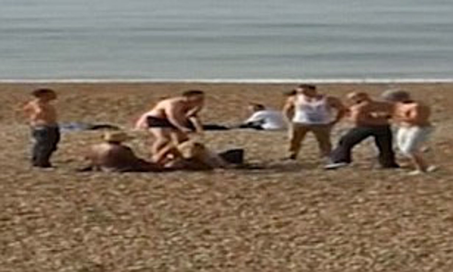 dorothy gorman recommends Nudist Beach Sex Photos