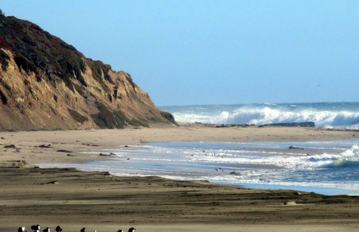 dean olin recommends nudist beaches in santa cruz pic