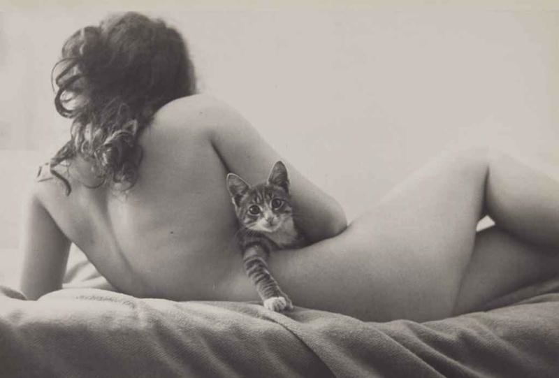 diana zepeda recommends Nudist Girl With Cat