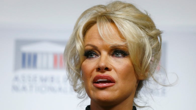 brian parmeter recommends Pamela Anderson In Porno