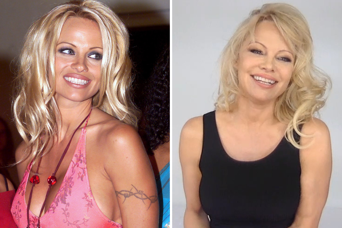 damla hayat recommends Pamela Anderson S Tits