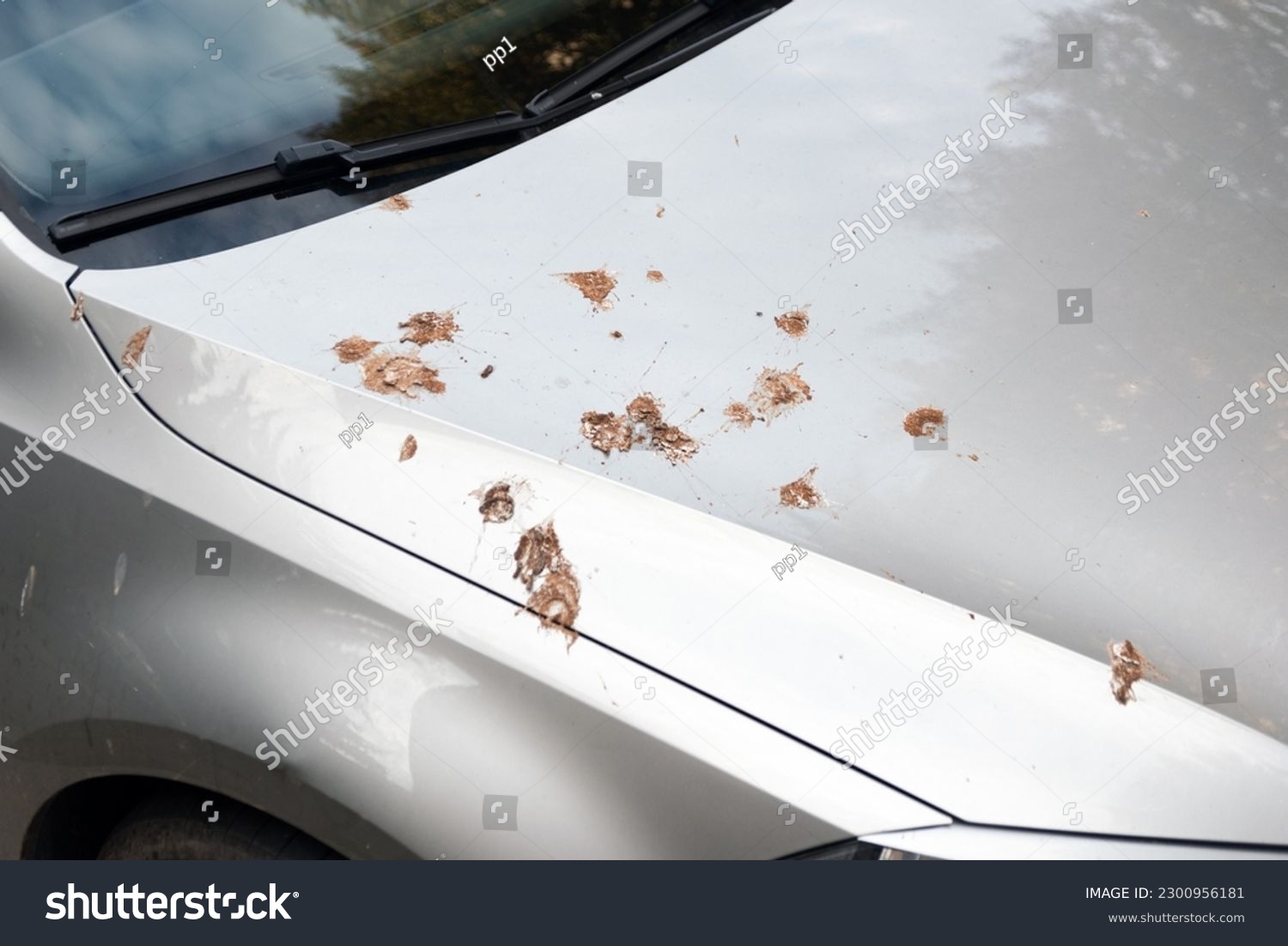 denis mawson recommends pooping out car window pic