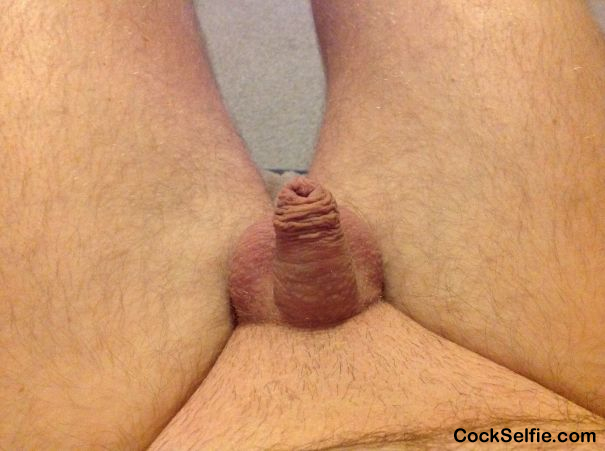 atticus james recommends rate my small dick pic