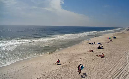 Best of Sea and suds live cam