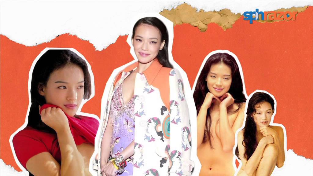 donald r rice recommends Shu Qi Adult Movie