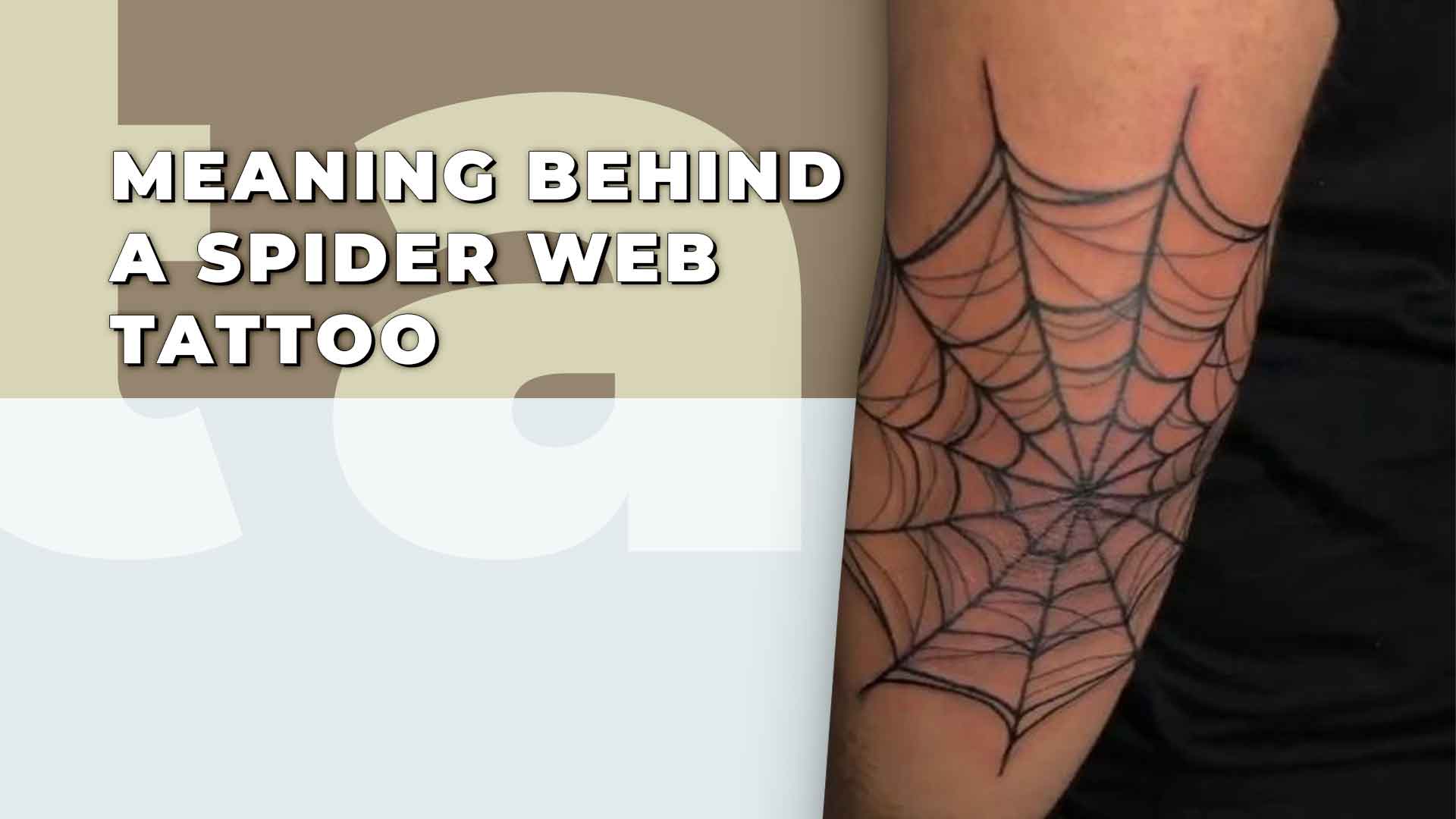 brittney mullins recommends spiderweb tattoo on elbow pic