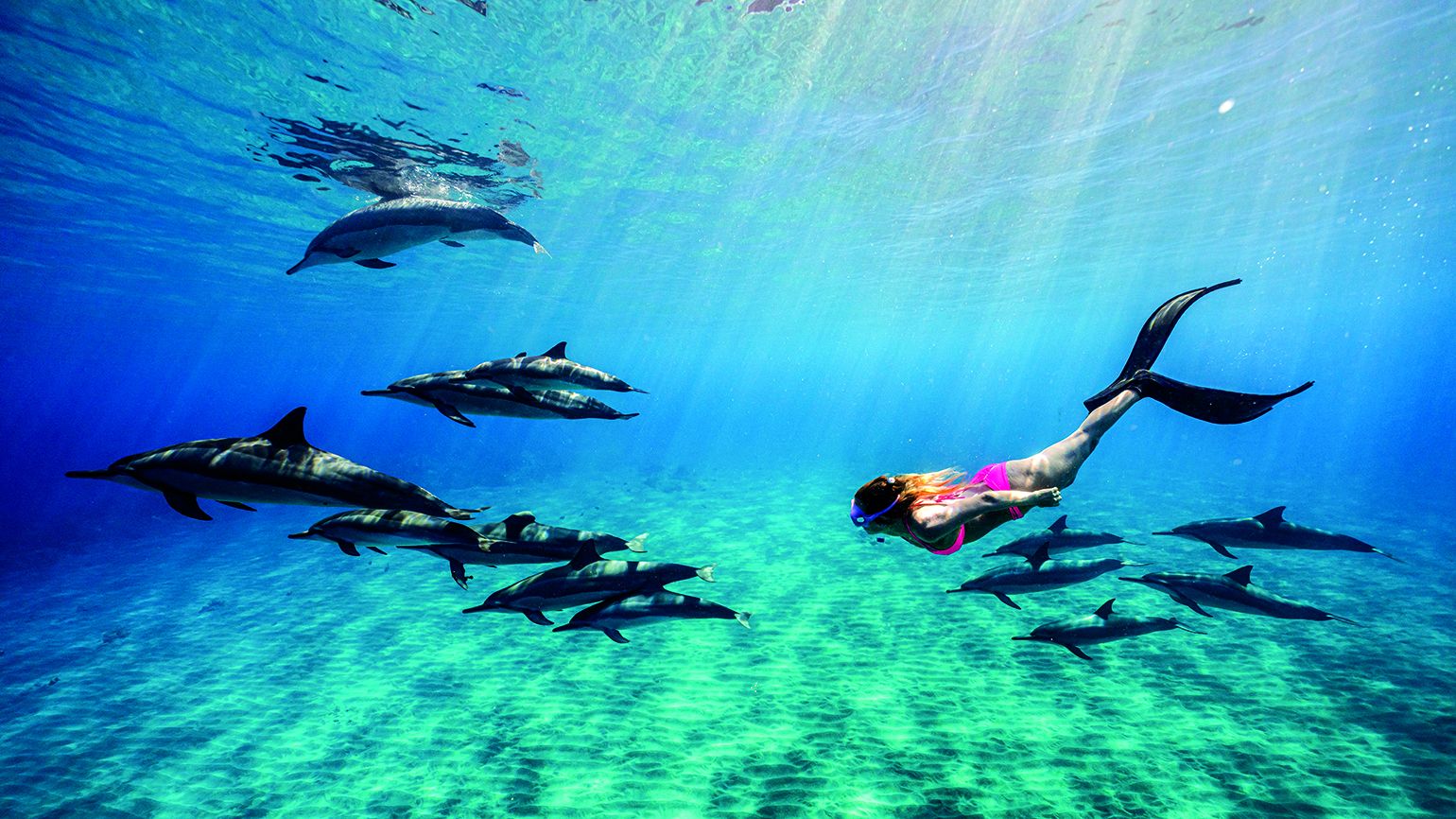 Best of Swimming naked with dolphins
