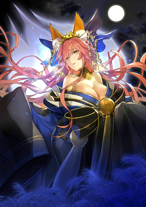 ashley ile add tamamo no mae fate photo