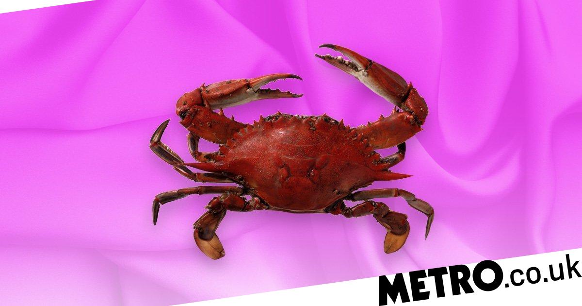 anis ahamed recommends The Crab Sex Position