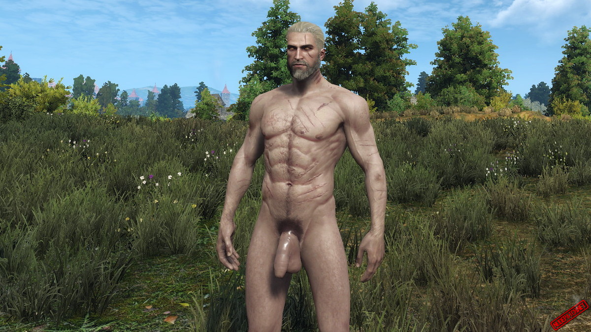 dedy gunawan recommends the witcher nude mod pic