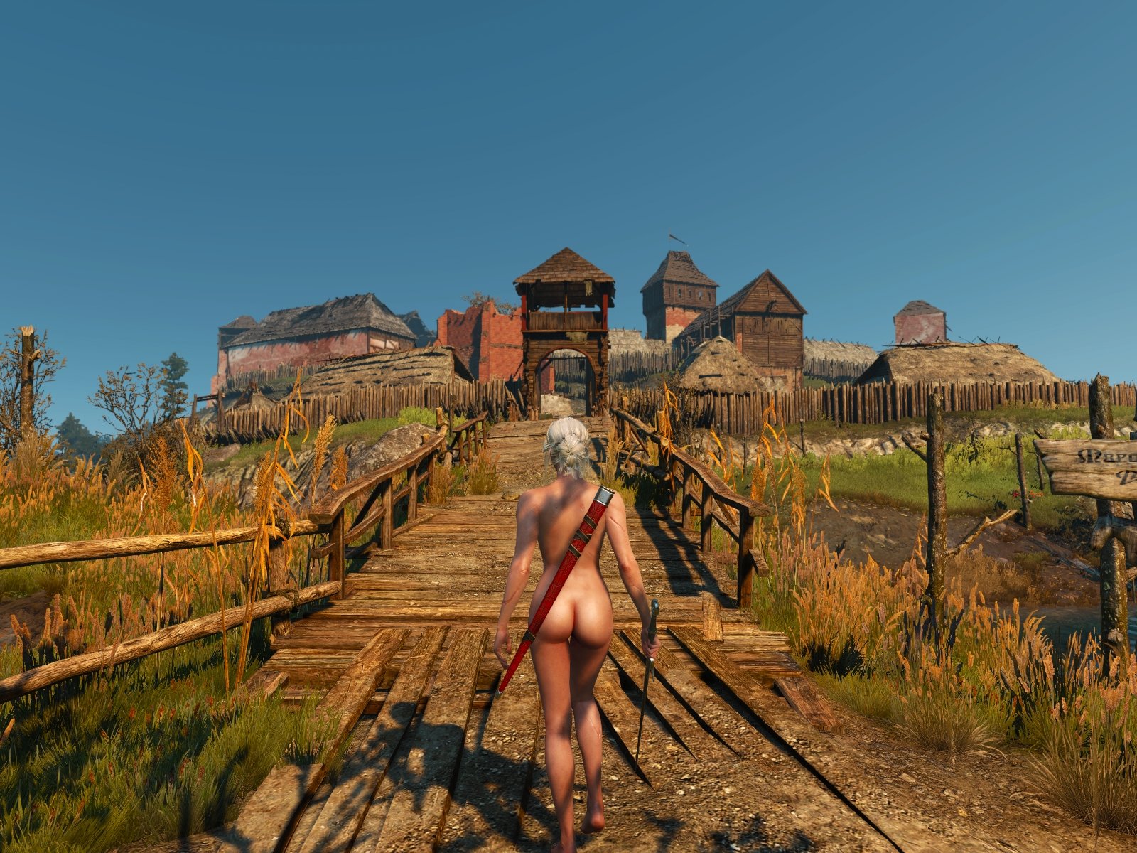agung budi cahyono recommends The Witcher Nude Mod