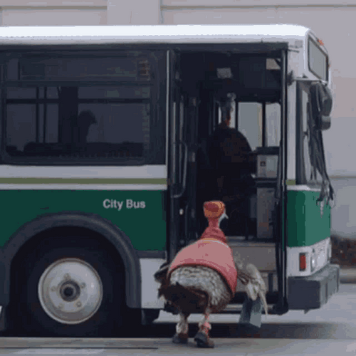 adriana piazza recommends Under The Bus Gif