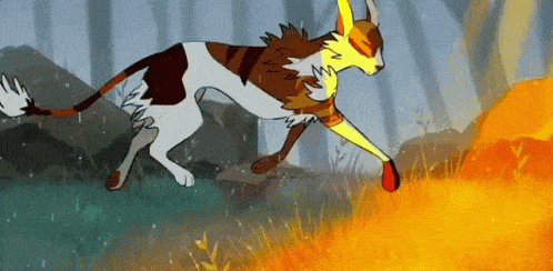 desi hunk recommends warrior cats gif pic
