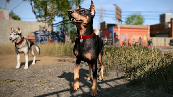 ashish vira add watch dogs 2 hooker photo