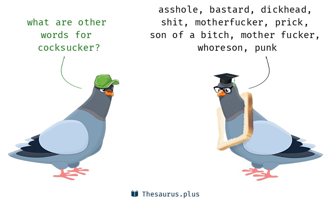 what is a cock sucker