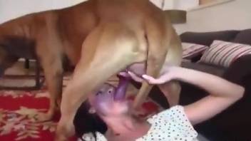 woman sucking dogs dick