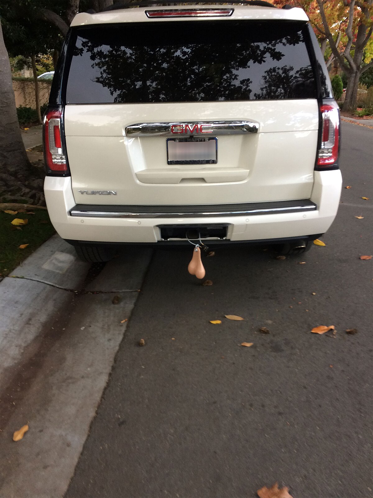 andrea etheridge recommends woman tied to front of truck pic